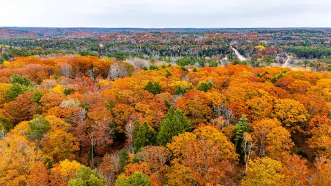 lot Apt 4 Bay View Trl, Edgecomb, ME 04556 photo 30