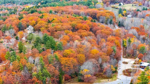 lot Apt 4 Bay View Trl, Edgecomb, ME 04556 photo 12