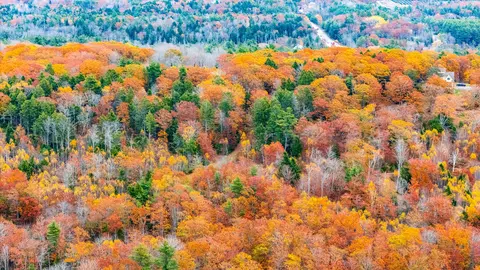 lot Apt 4 Bay View Trl, Edgecomb, ME 04556 photo 39