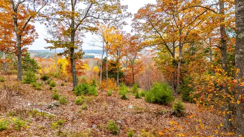 lot Apt 4 Bay View Trl, Edgecomb, ME 04556 photo 25