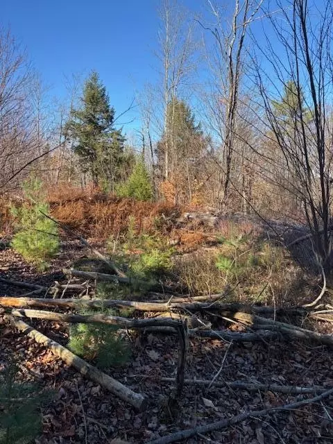 32 Main Street # 6 l, Wayne, ME 04284