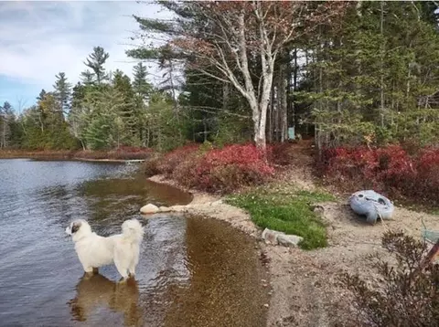 lot3 Widerness Way N, Wesley, ME 04686