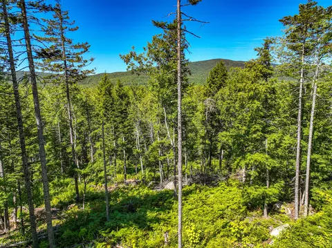 lot39 Sawyer Notch Rd, Andover, ME 04216