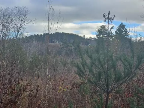 L52 Bridgton Road, Sweden, ME 04009