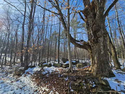 R09-l13-3 Ski Slope Road, Farmington, ME 04938