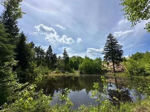 0 Back St, Upton, ME 04261 photo 10