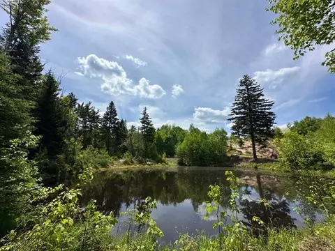 0 Back St, Upton, ME 04261 photo 6