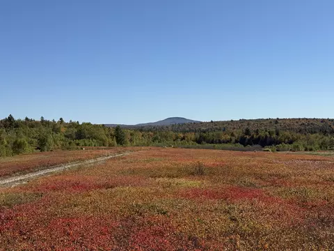 Map19lot28 Leach Road, Penobscot, ME 04476