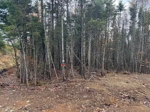 lot N S Whitetail Way, Greenville, ME 04441