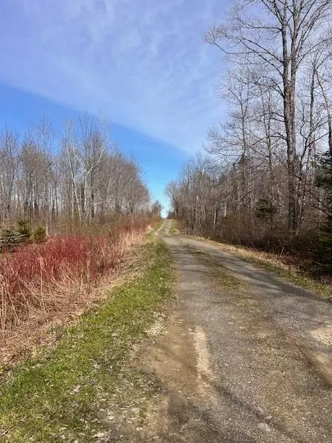 1 Drews Mill Road, Linneus, ME 04730