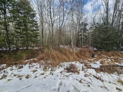 M2, Columbia, ME 04623