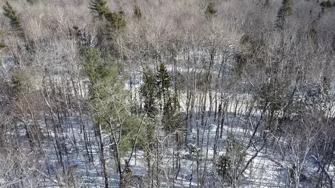 lot7 Curtis Farm Rd, Lincoln, ME 04457