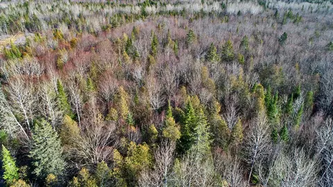 lot2 3 Us Rt 2a Rd, Linneus, ME 04730 photo 15