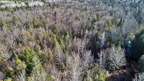lot2 3 Us Rt 2a Rd, Linneus, ME 04730 photo 25