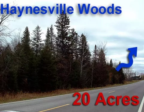 lot2 3 Us Rt 2a Rd, Linneus, ME 04730 photo 10