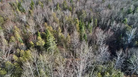 lot2 3 Us Rt 2a Rd, Linneus, ME 04730 photo 26