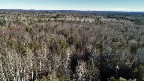 lot2 3 Us Rt 2a Rd, Linneus, ME 04730 photo 19