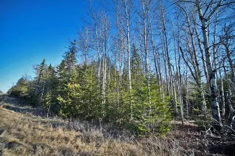 lot2 3 Us Rt 2a Rd, Linneus, ME 04730 photo 4