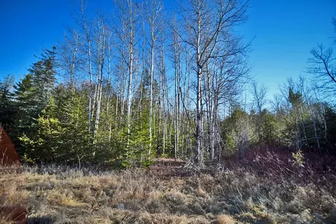 lot2 3 Us Rt 2a Rd, Linneus, ME 04730 photo 16