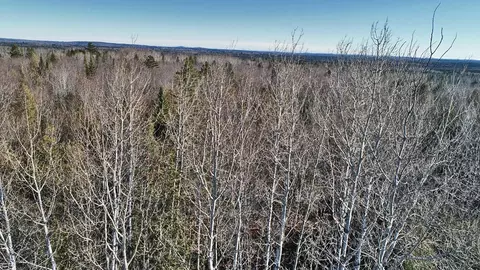 lot2 3 Us Rt 2a Rd, Linneus, ME 04730 photo 18