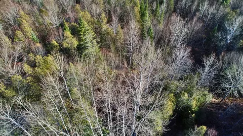 lot2 3 Us Rt 2a Rd, Linneus, ME 04730 photo 14