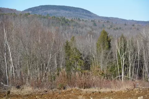 lot137 25 French Hill Rd, Albany Twp, ME 04217