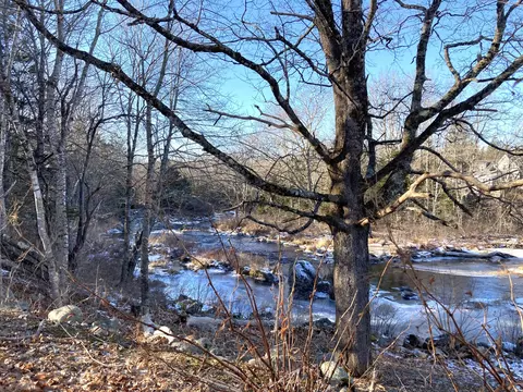 View/Area - 3 Rogers Pt, Steuben, ME 04680 photo 2 of 8