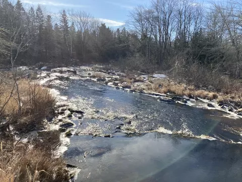 View/Area - 3 Rogers Pt, Steuben, ME 04680 photo 1 of 8