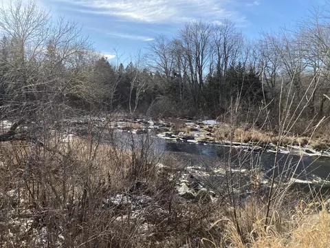 View/Area - 3 Rogers Pt, Steuben, ME 04680 photo 4 of 8