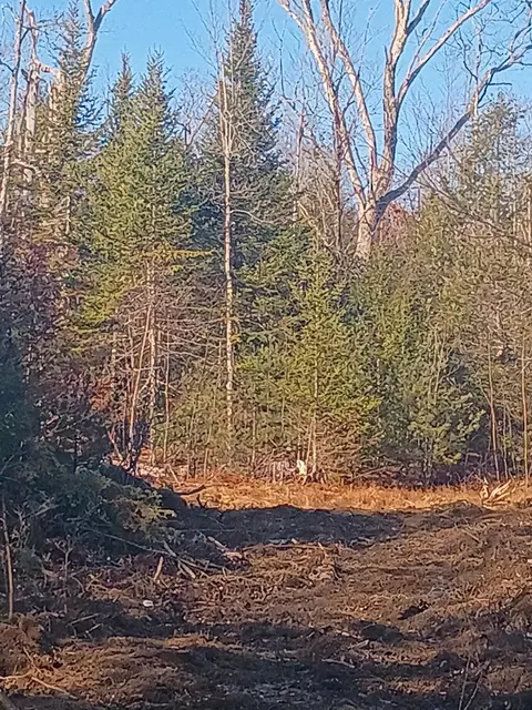 848 Old Stage Rd, Woolwich, ME 04579 photo 5