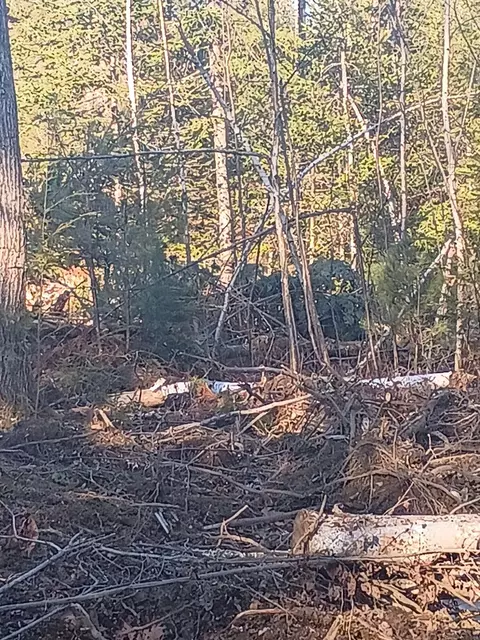 848 Old Stage Rd, Woolwich, ME 04579 photo 3