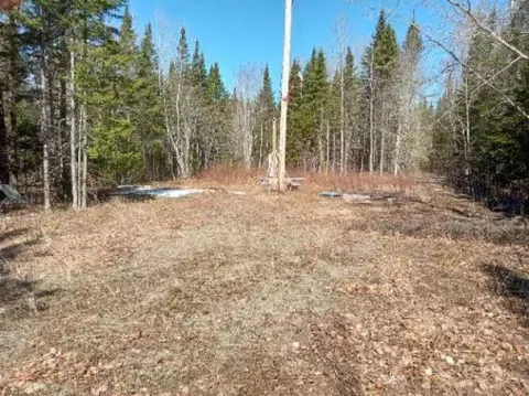 lot85 Woodland Ridge Rd, Danforth, ME 04424