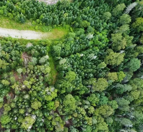 Map 4/31-a Palmer Way, Dallas Plt, ME 04970