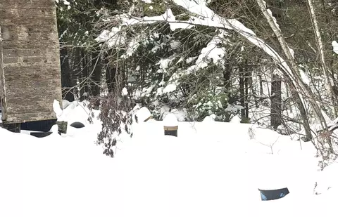 Other - 296 Valley Avenue Rd, Exeter, ME 04435 photo 7 of 7