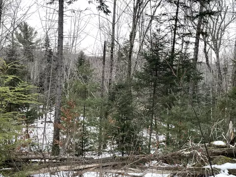 trafton road, Harmony, ME 04942