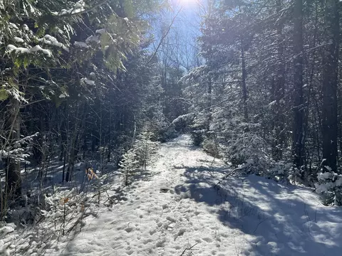 553 Corinna Rd, Saint Albans, ME 04971