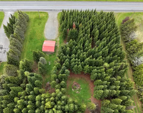 View/Area - 929 Access Hwy, Limestone, ME 04750 photo 5 of 5