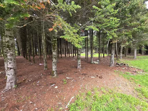 Exterior - 929 Access Hwy, Limestone, ME 04750 photo 2 of 3