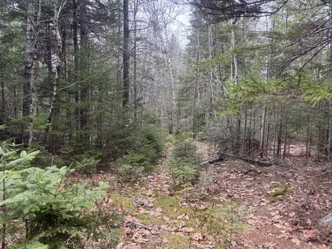 M11l17c Rogers Point Road, Steuben, ME 04680