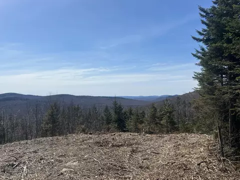 13 Moose Alley Rd, Temple, ME 04984 photo 4