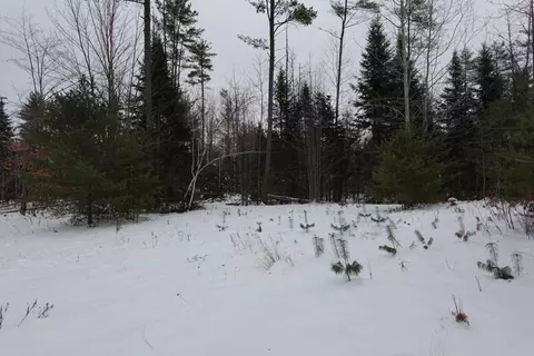 012-013 01 Bert Berry Road Rd, Embden, ME 04958