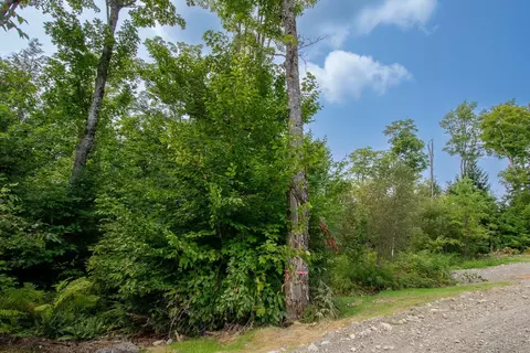 lot1 Bear Brook Subdivision, Sebec, ME 04481
