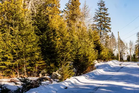 lot10 4r2 Pine Cone Ln, Surry, ME 04684