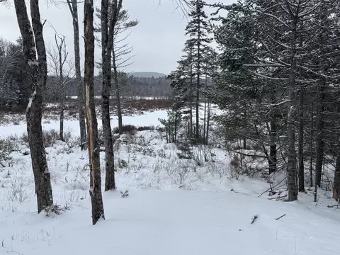 M29 L75 Ellsworth Road, Blue Hill, ME 04614