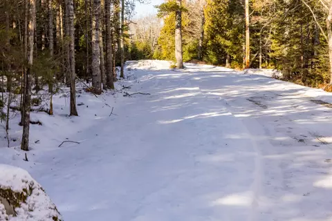 10 M Forest Hl # -4, Surry, ME 04684