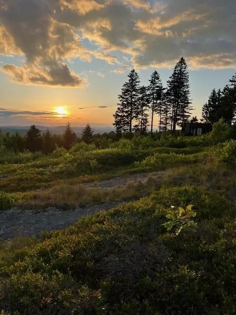 533 Mt Ephraim Rd, Searsport, ME 04974