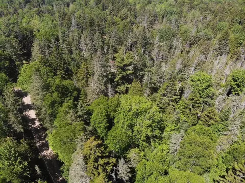 0 Flye Pt #LOT 3, Brooklin, ME 04616