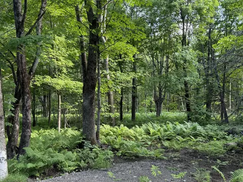 47 Greenville Rd #LOT 3, Shirley, ME 04485