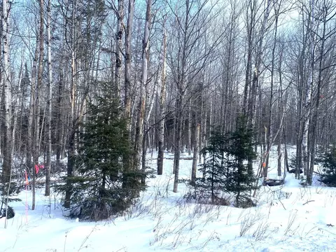 47 Greenville Rd #LOT 3, Shirley, ME 04485