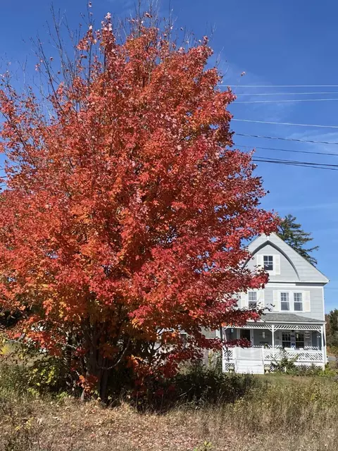 Other - 40 Pine St, Dixfield, ME 04224 photo 12 of 12